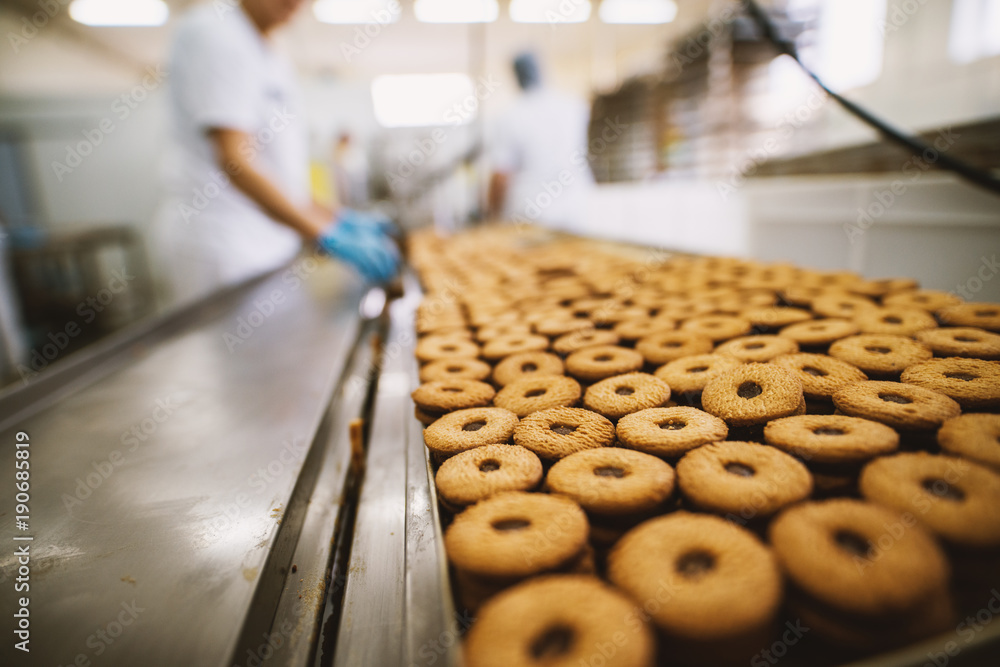 1000_F_190685819_vEVAxiJum6iUdGsCRHz0n85au3dzSPnE